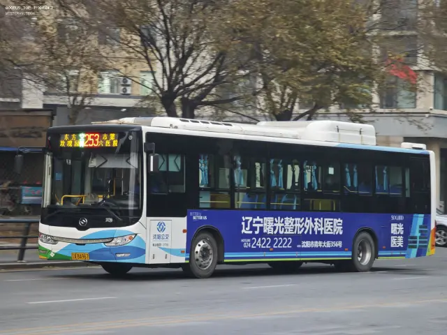 800BUS