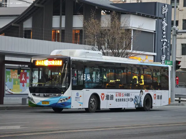 800BUS