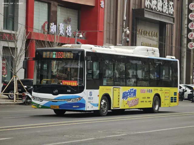 800BUS