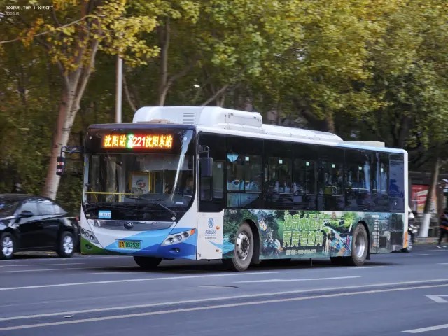 800BUS