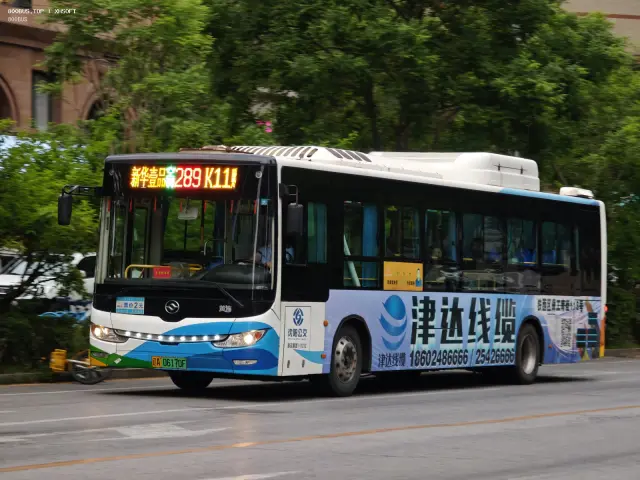 800BUS