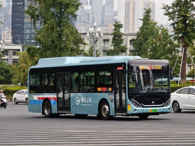 800BUS