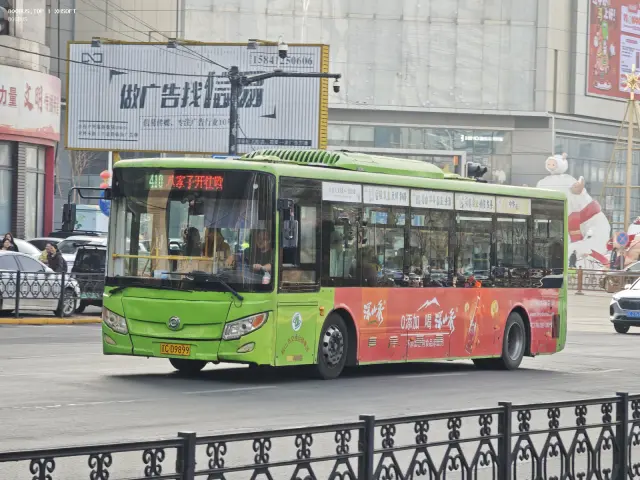 800BUS