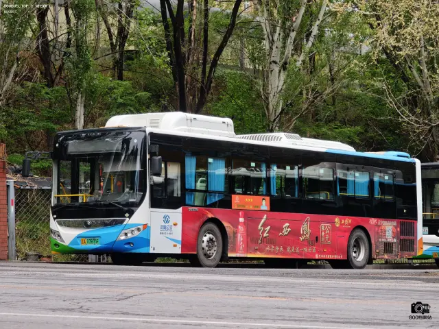 800BUS