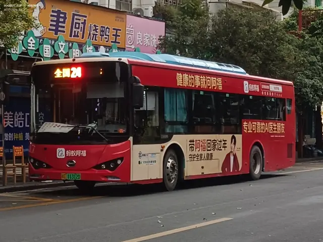 800BUS