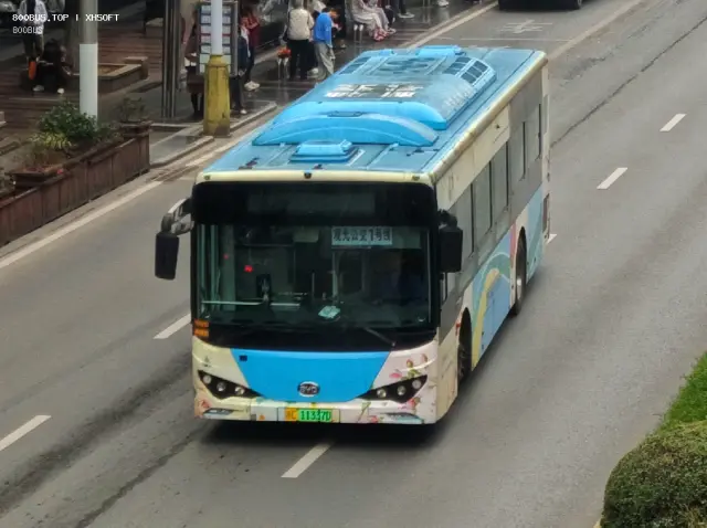800BUS
