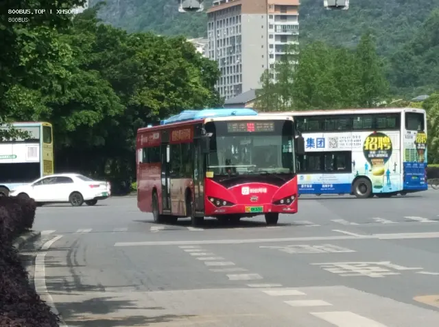 800BUS