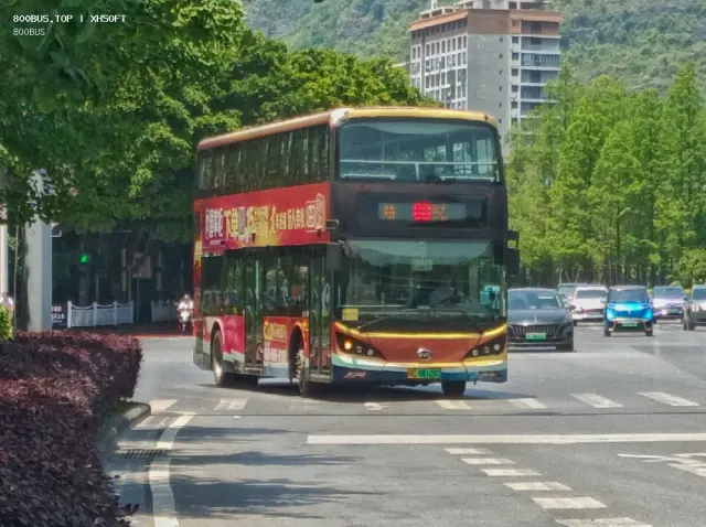 800BUS