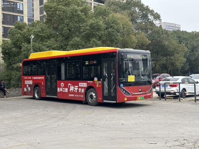 800BUS