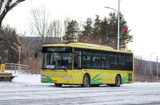 800BUS
