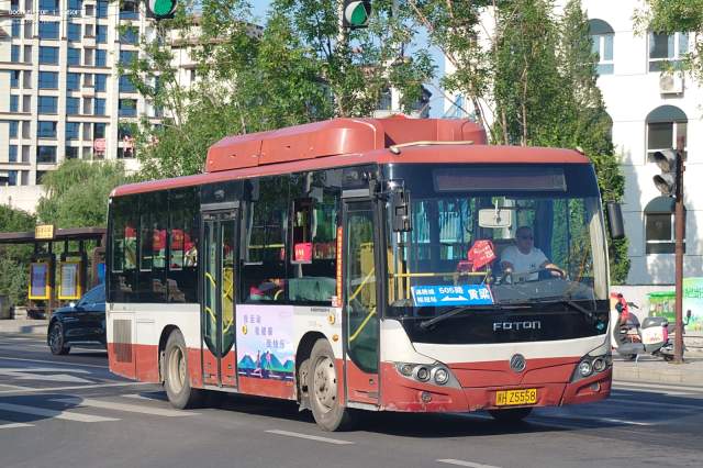 800BUS