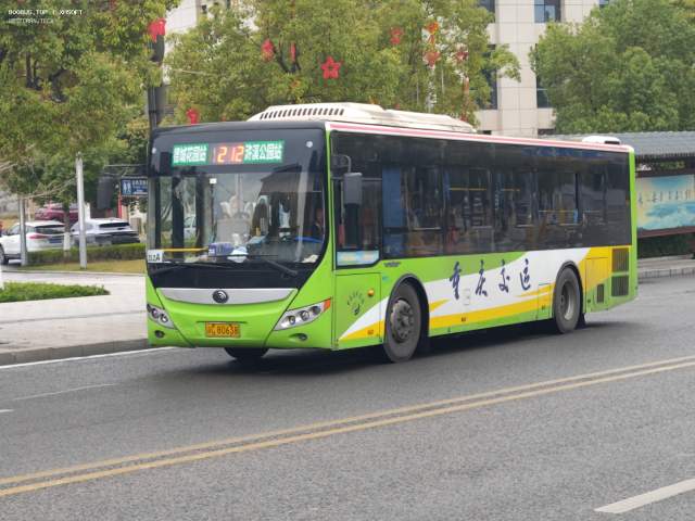 800BUS