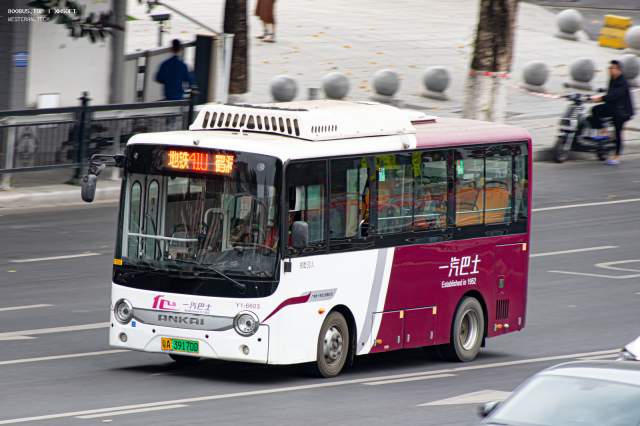 800BUS