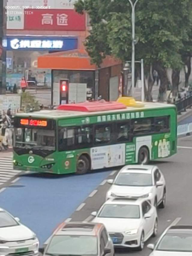 800BUS