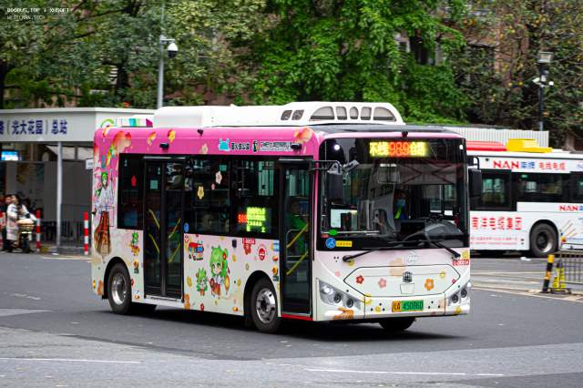 800BUS