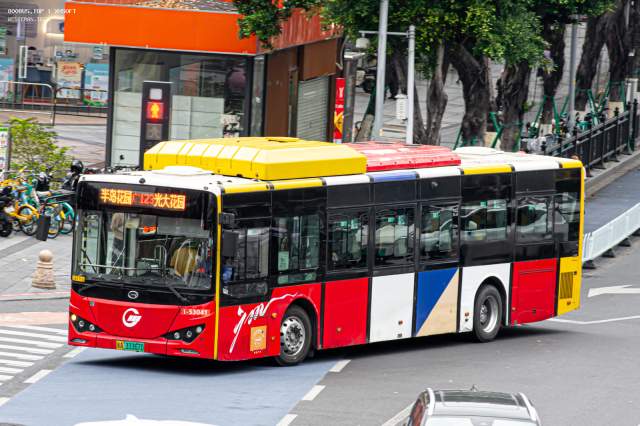 800BUS