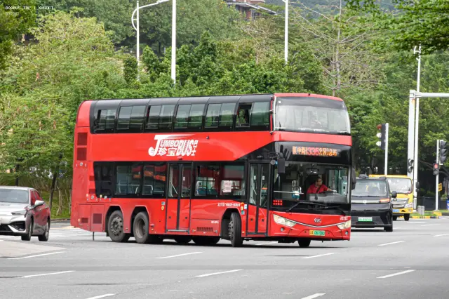 800BUS
