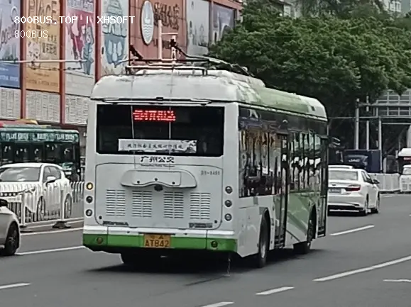 800BUS
