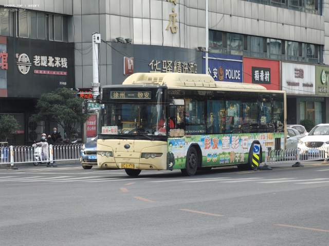 800BUS
