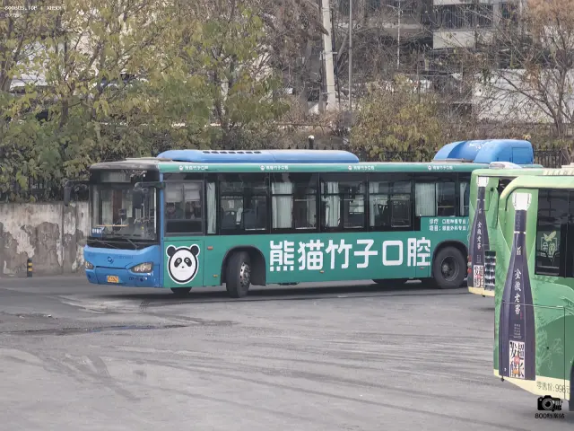 800BUS
