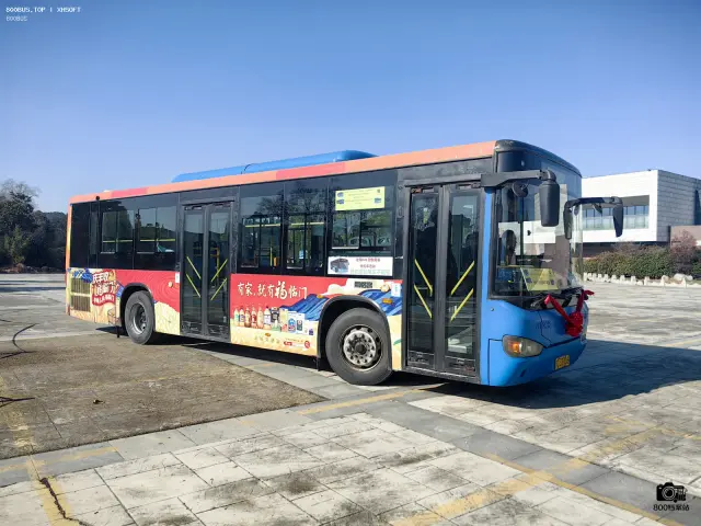 800BUS