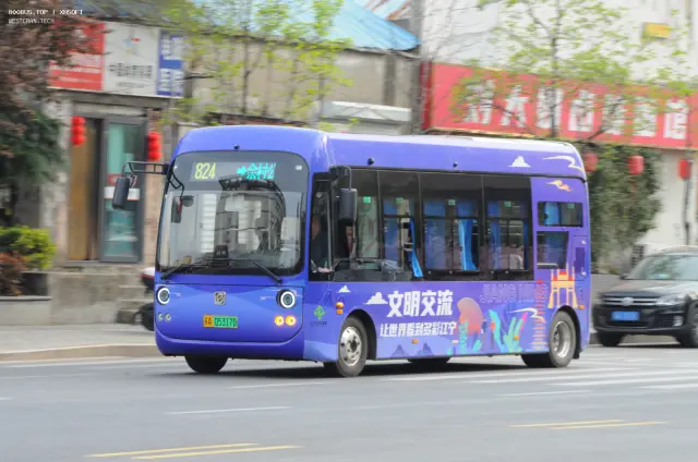 800BUS