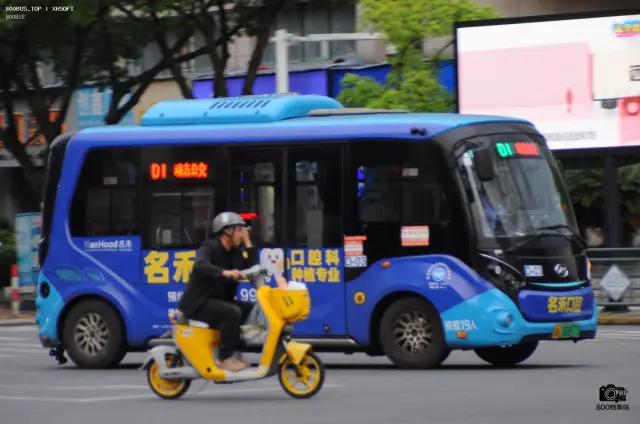 800BUS