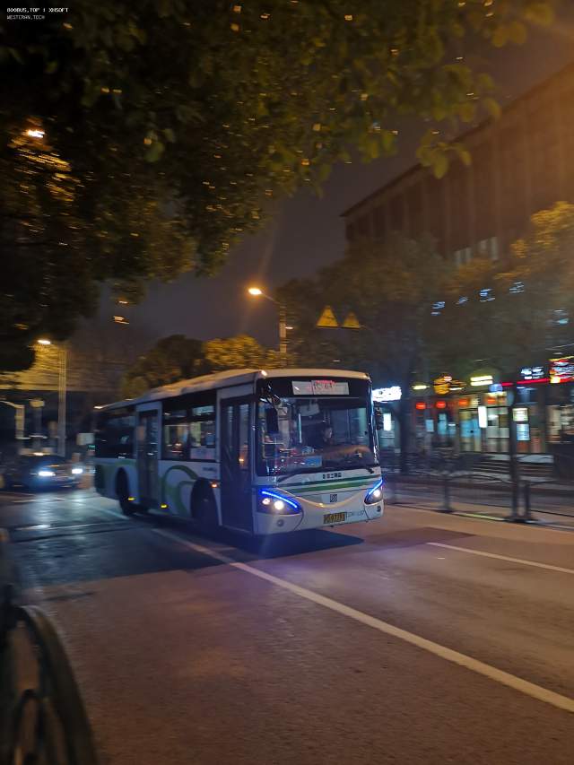 800BUS