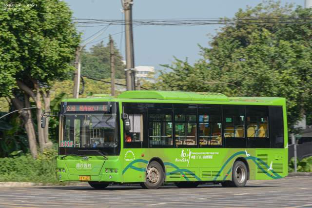 800BUS