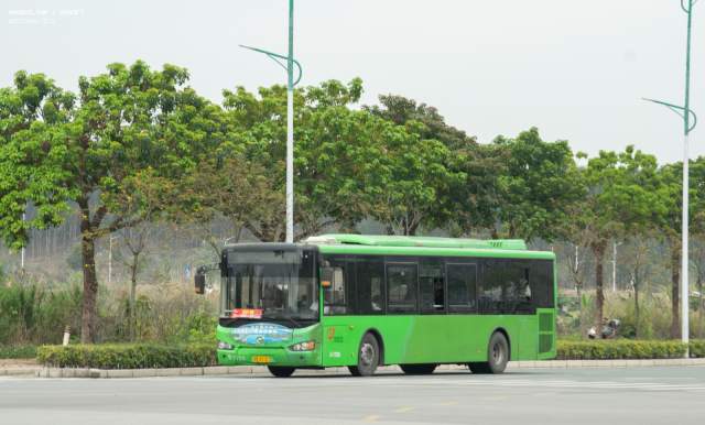800BUS