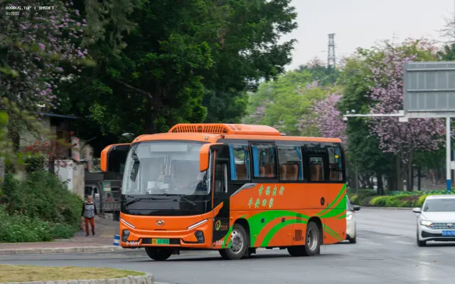 800BUS