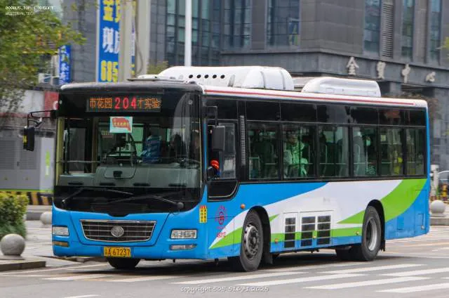 800BUS