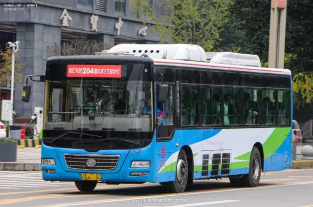 800BUS