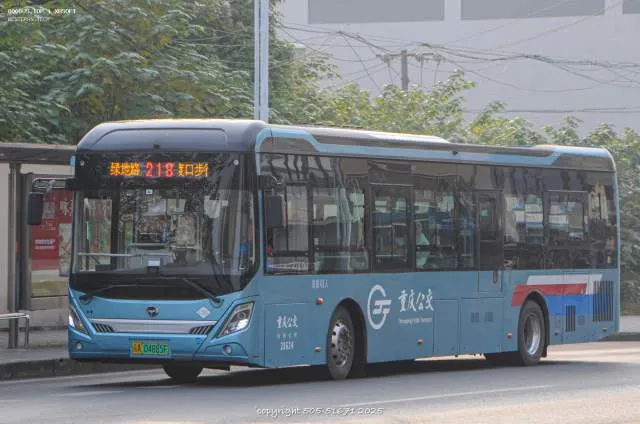 800BUS