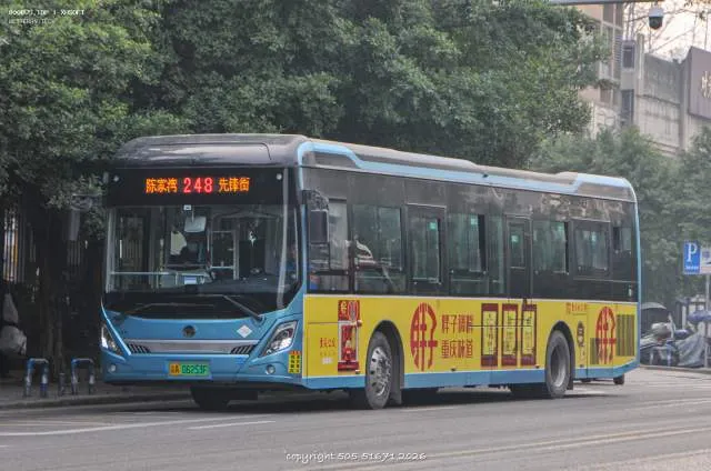 800BUS