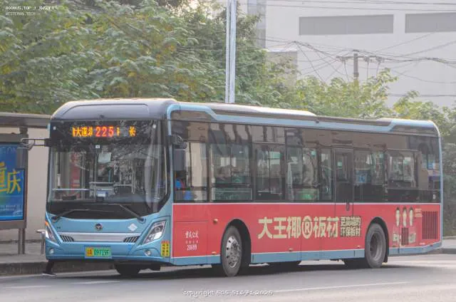 800BUS