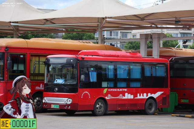 800BUS