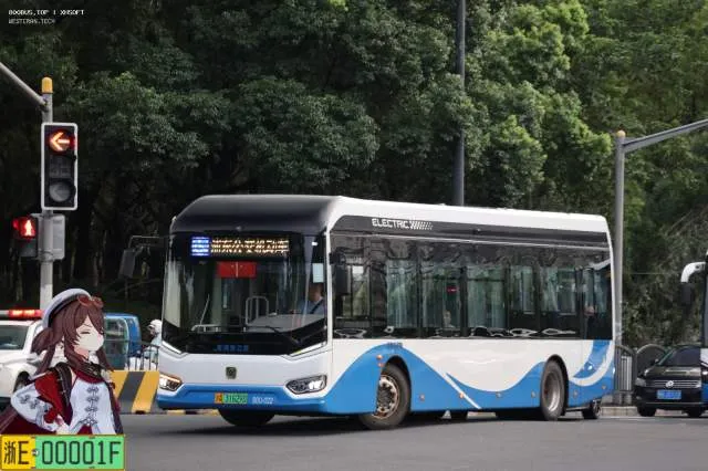 800BUS