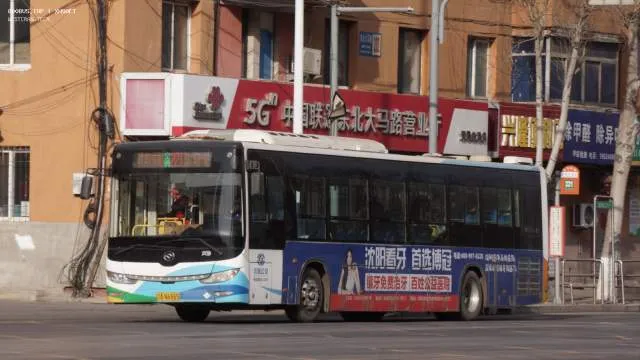 800BUS
