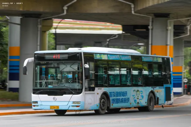 800BUS