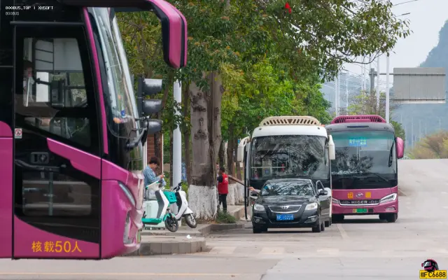 800BUS