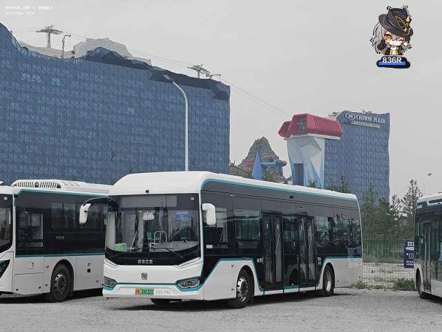 800BUS
