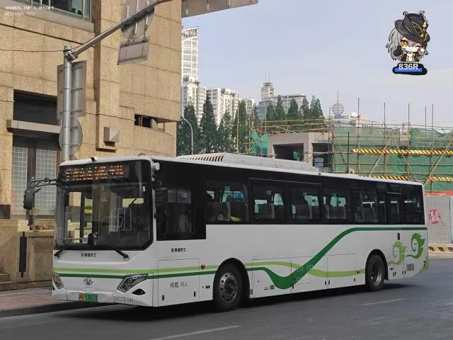 800BUS