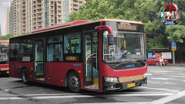 800BUS