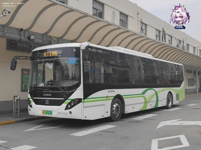 800BUS