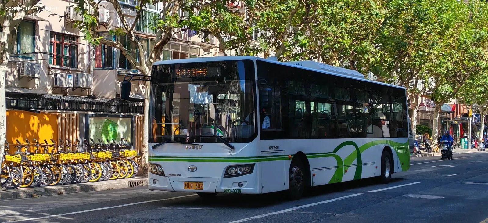 Bus Archive