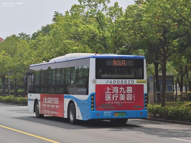 800BUS
