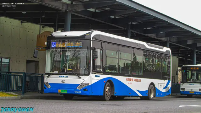 800BUS