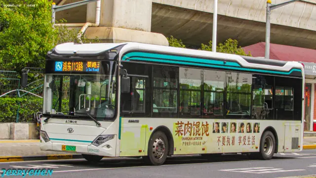 800BUS