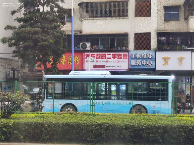 800BUS